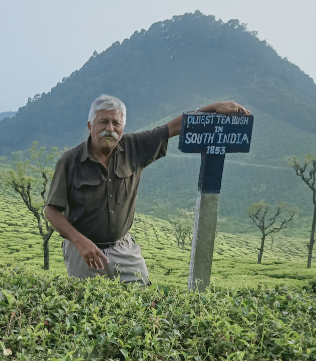Gurrinder Singh 'Indi' Khanna, author of Tête-à-Tea